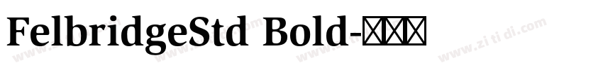 FelbridgeStd Bold字体转换